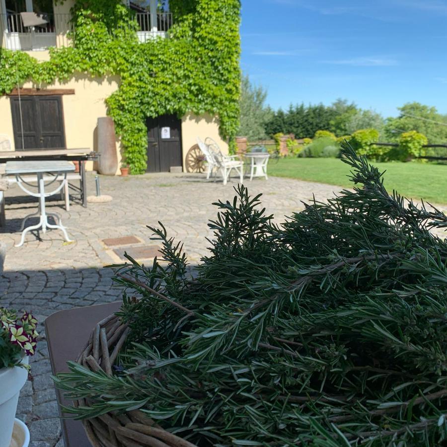 Bed and Breakfast Casale Osvalda Alfiano Natta Exterior foto